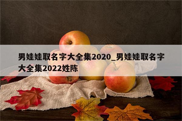 男娃娃取名字大全集2020_男娃娃取名字大全集2022姓陈