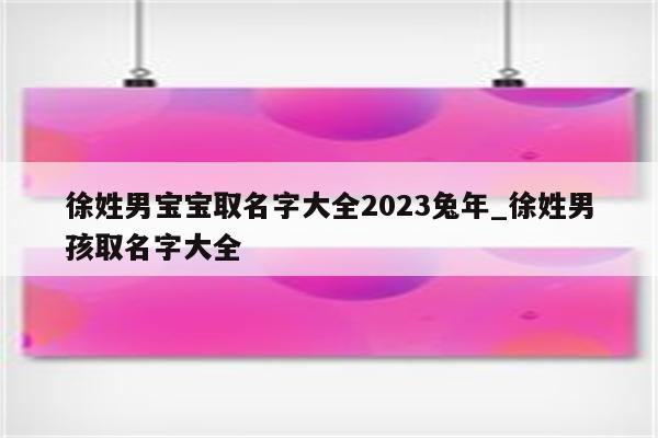 徐姓男宝宝取名字大全2023兔年_徐姓男孩取名字大全