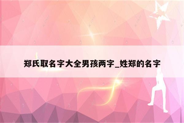 郑氏取名字大全男孩两字_姓郑的名字