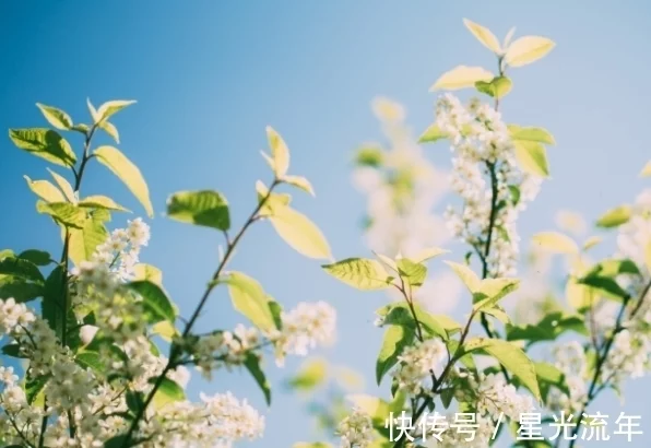 运势最旺的四个星座，11月份将霉运消失，好运不断，财气高涨