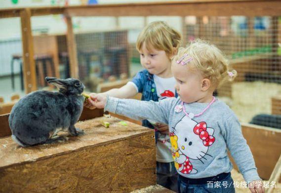 属虎的新生儿起名测名：如花似玉的宝宝名字大全