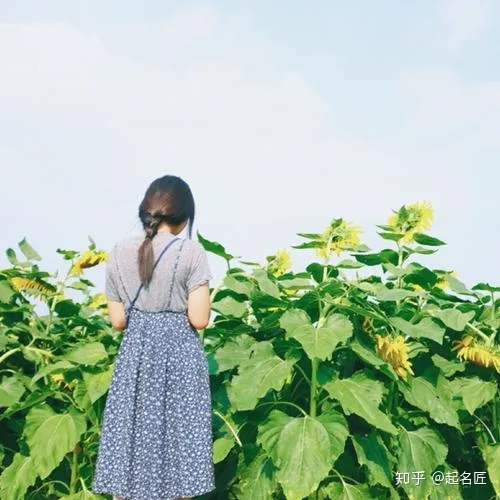 女孩起名：清新脱俗不染尘埃的女孩名字精选