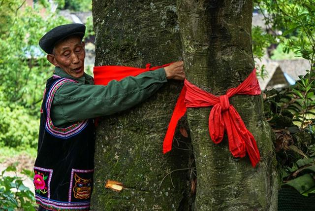 红极一时的“按辈分取名”，为什么现在不流行了？原因很现实